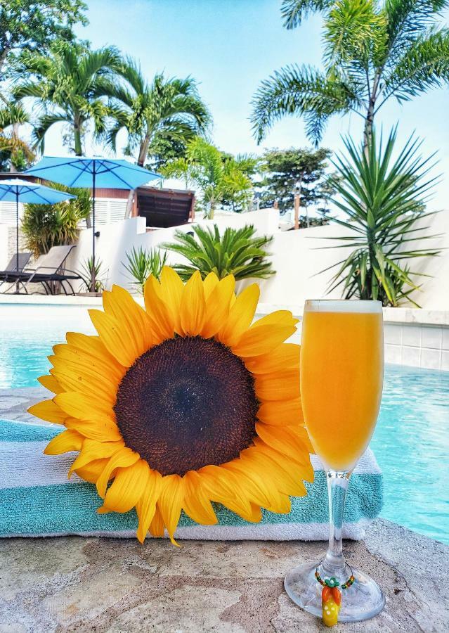 Casa Verde Hotel Rincon Ngoại thất bức ảnh
